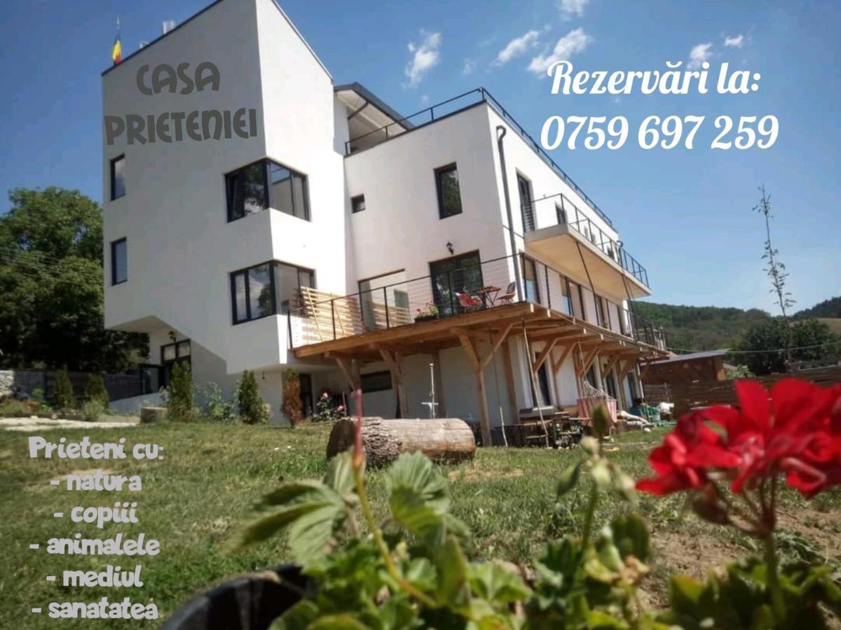 Casa Prieteniei - cazare Hotel Piatra Neamţ Exterior foto