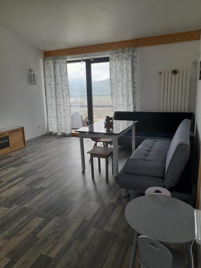 Casa Prieteniei - cazare Hotel Piatra Neamţ Exterior foto